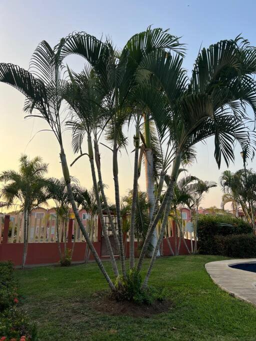 Casa Con Alberca A 8 Min De Playa Διαμέρισμα Ixtapa  Εξωτερικό φωτογραφία